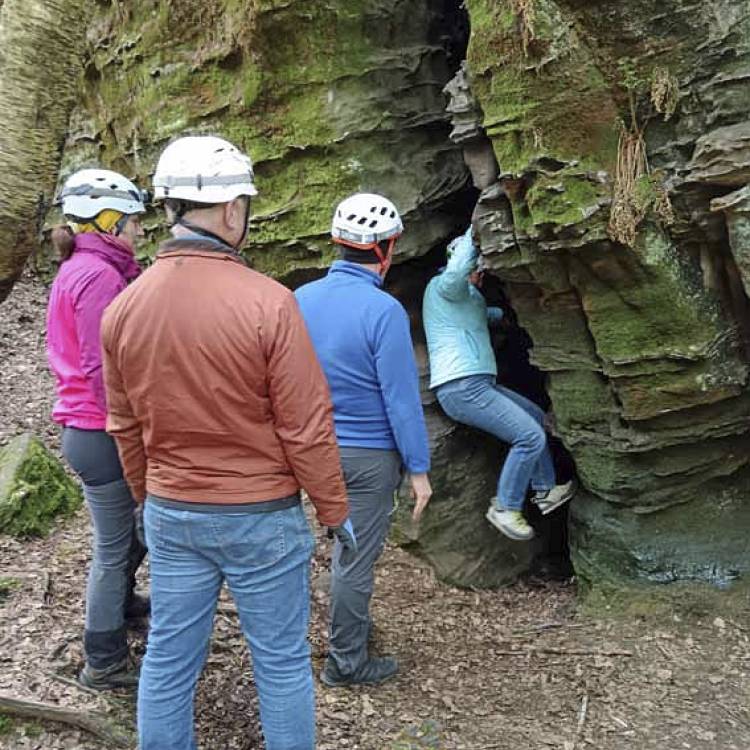 Von Dunkelheit, Höhlenspinnen und der kleinen Hufeisennase